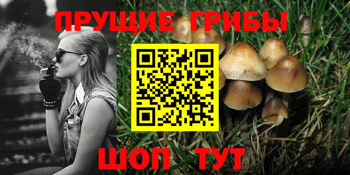 Меф кристаллы  Вейп ТГК  КОКАИН  Codein  Вход с VPN  Марихуана  Бийск  ГАШИШ  Гашиш 